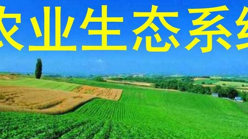 农民合作社联合社审计标准：关键要素与合规要点