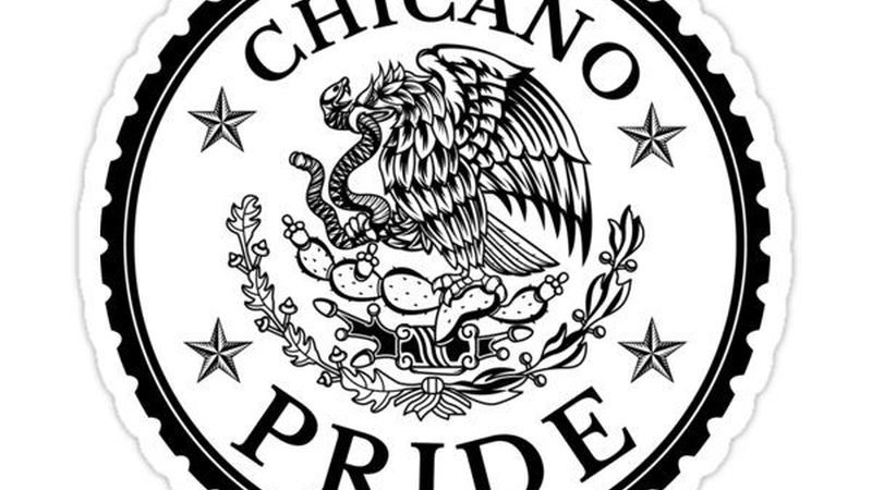 蔬菜批发报价单，揭秘规格参数背后的真相**