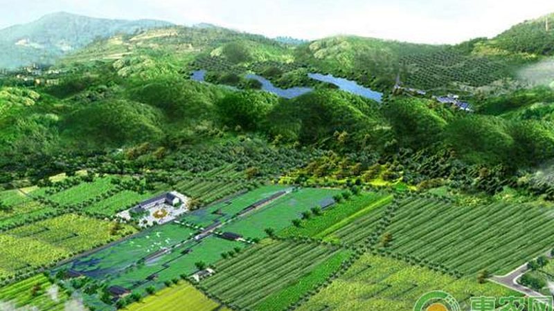 种植培训课程大纲：如何提升农业种植技能**