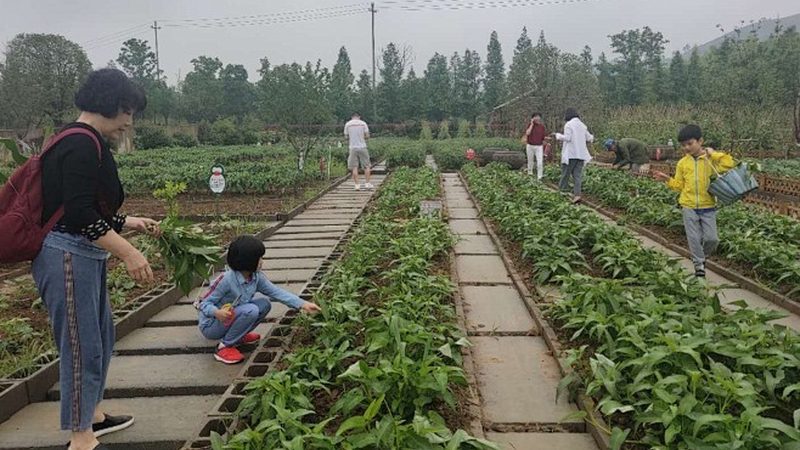 智慧农业控制系统报价