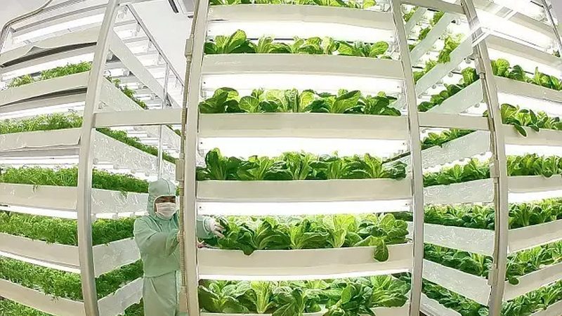 农民专业合作社注销流程解析及注意事项