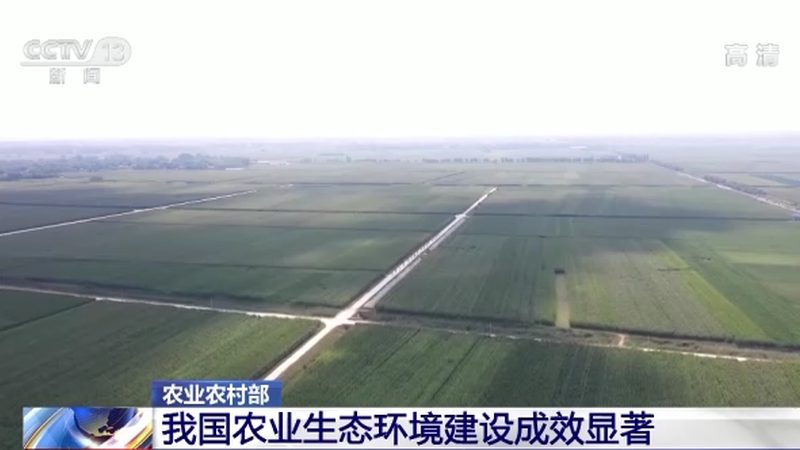 农产品供应链金融与物流金融：本质区别与运用场景**