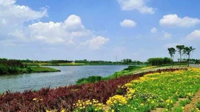 智能温室控制系统：如何选择性价比高的解决方案**