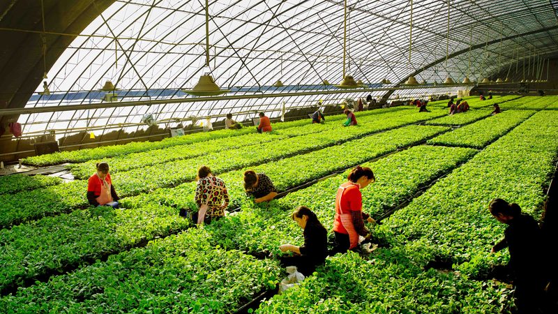 了解注册条件后，接下来就是准备注册材料。以下是一份常见的注册材料清单：