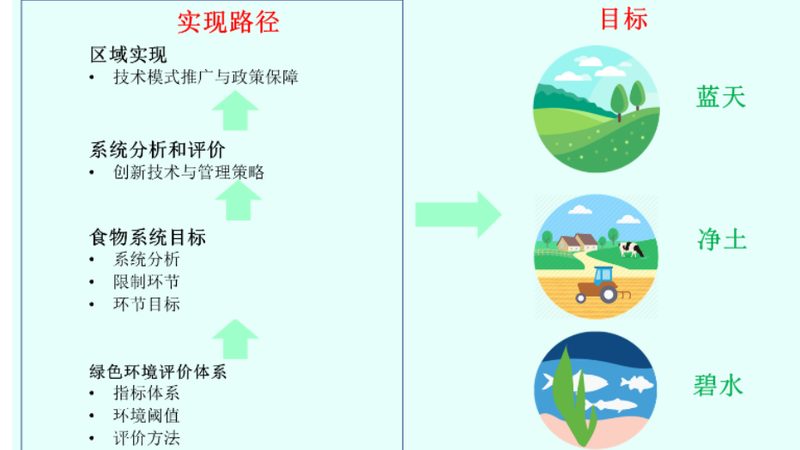 标准规范与操作规程：农业项目中的两个关键层次