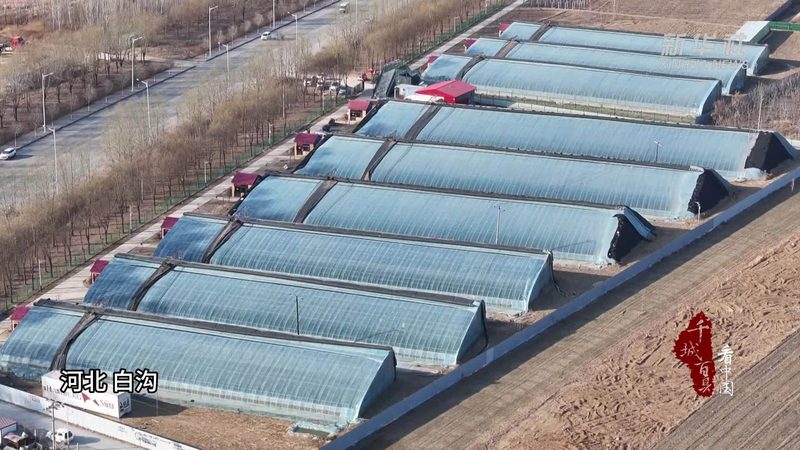 农业合作社农机补贴政策解读：补贴金额与申请流程
