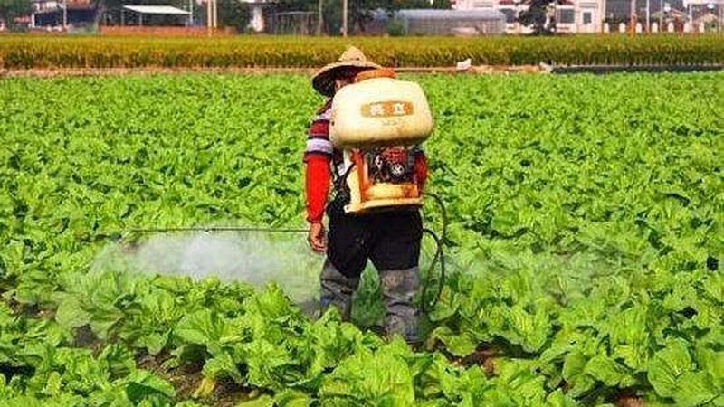 农产品配送公司规模分类解析